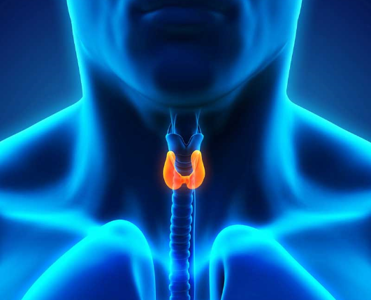 Pills in lab - Centrul de cercetare 5