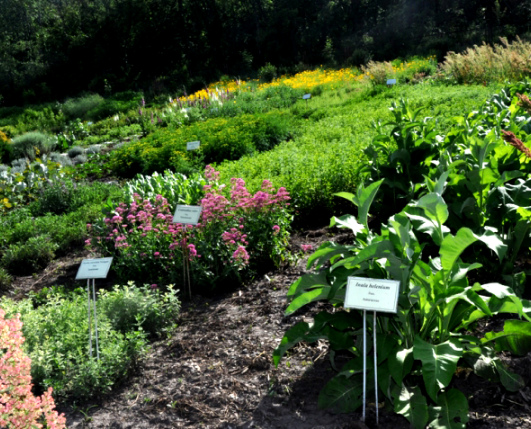 Pills in lab - Centrul de cercetare 1