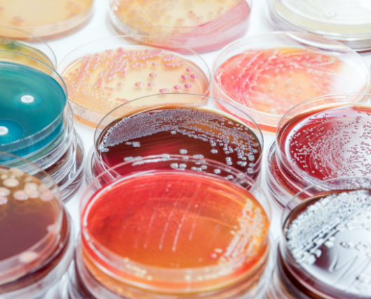 Pills in lab - Centrul de cercetare 2